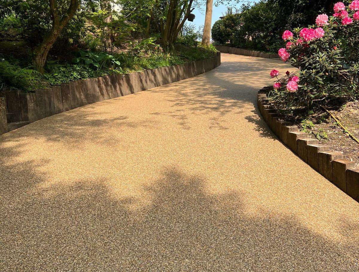 elite bound surfaces newest 1 copy